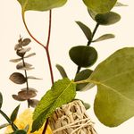 Aromatherapy Eucalyptus Spearmint