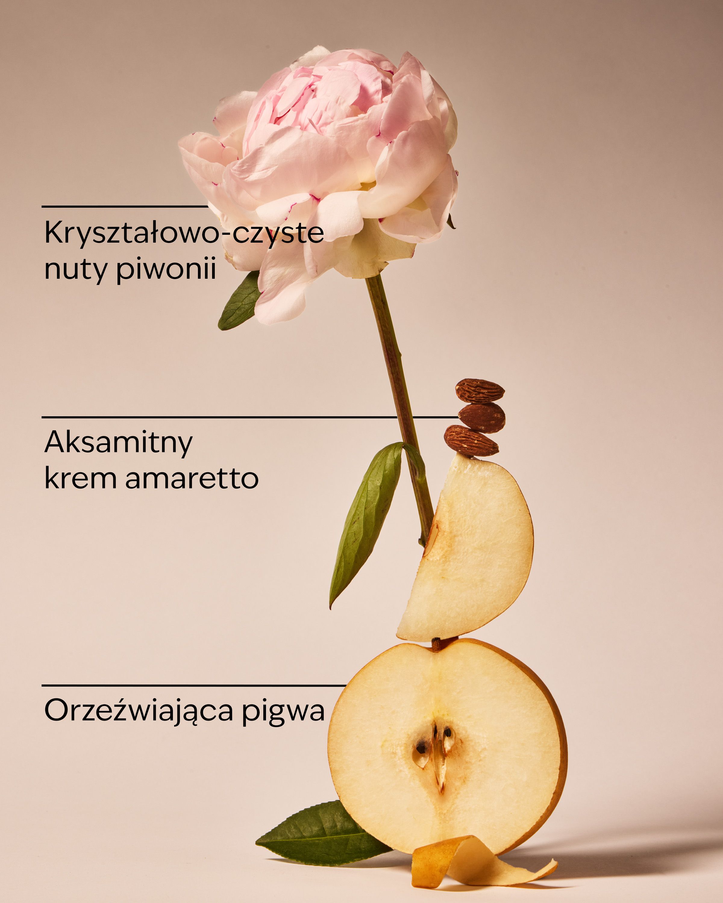 Żel pod prysznic A Thousand Wishes Bath & Body Works – różowy, połyskujący design i kultowy, elegancki zapach.