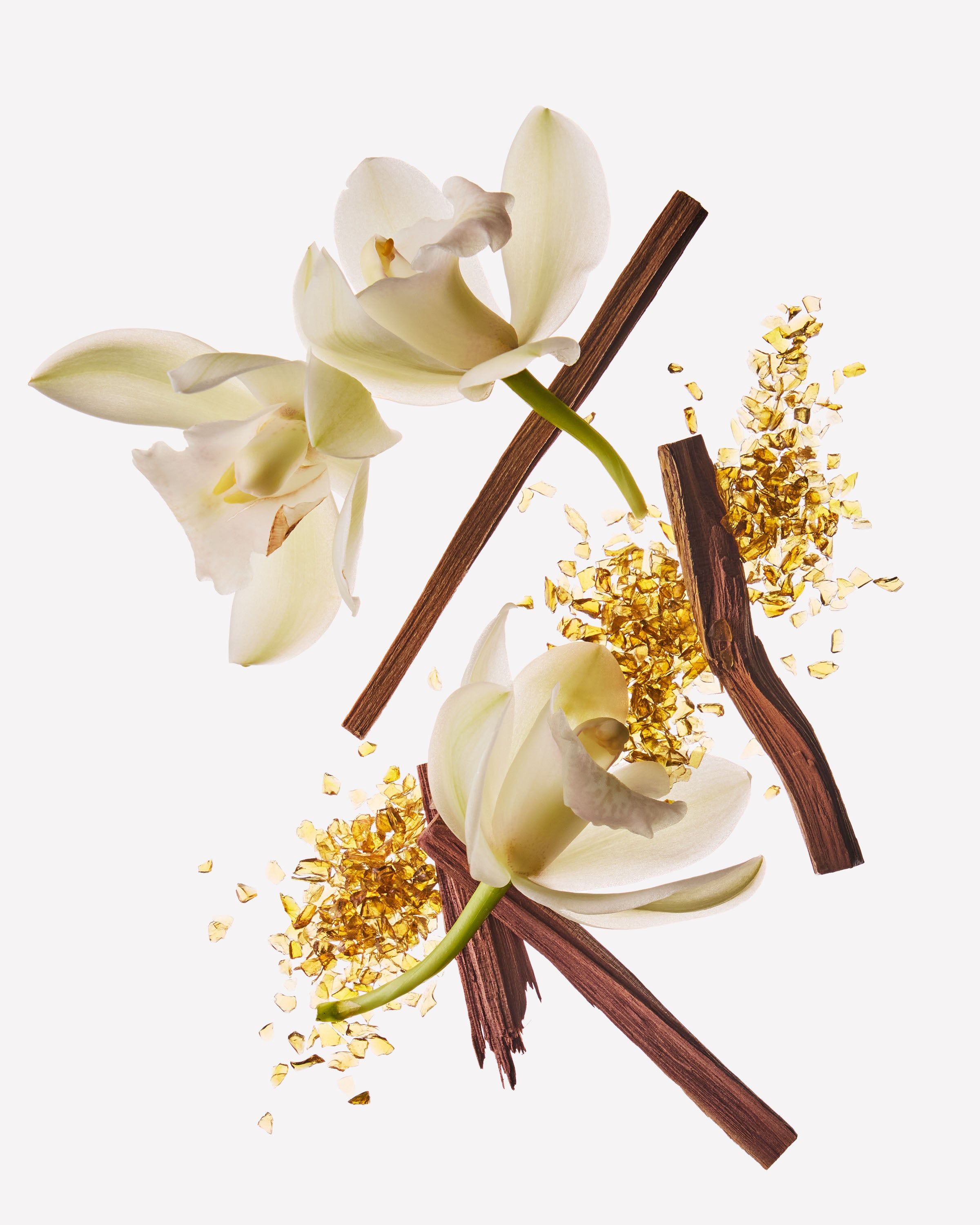 Białe kwiaty orchidei, kawałki drewna sandałowego i bursztynowe kryształki na jasnym tle