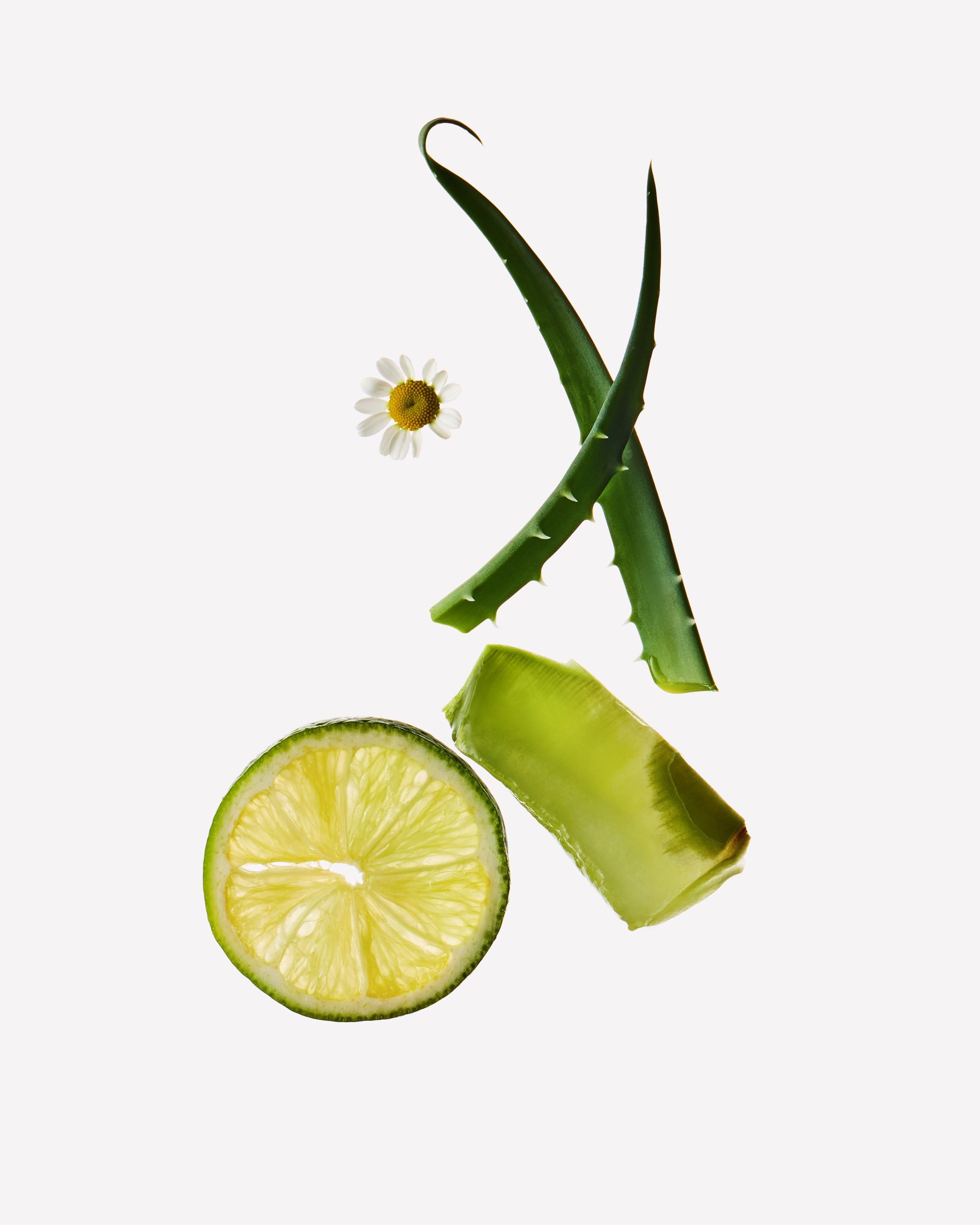 Liść aloesu, plaster bergamotki i kwiat rumianku na jasnym tle
