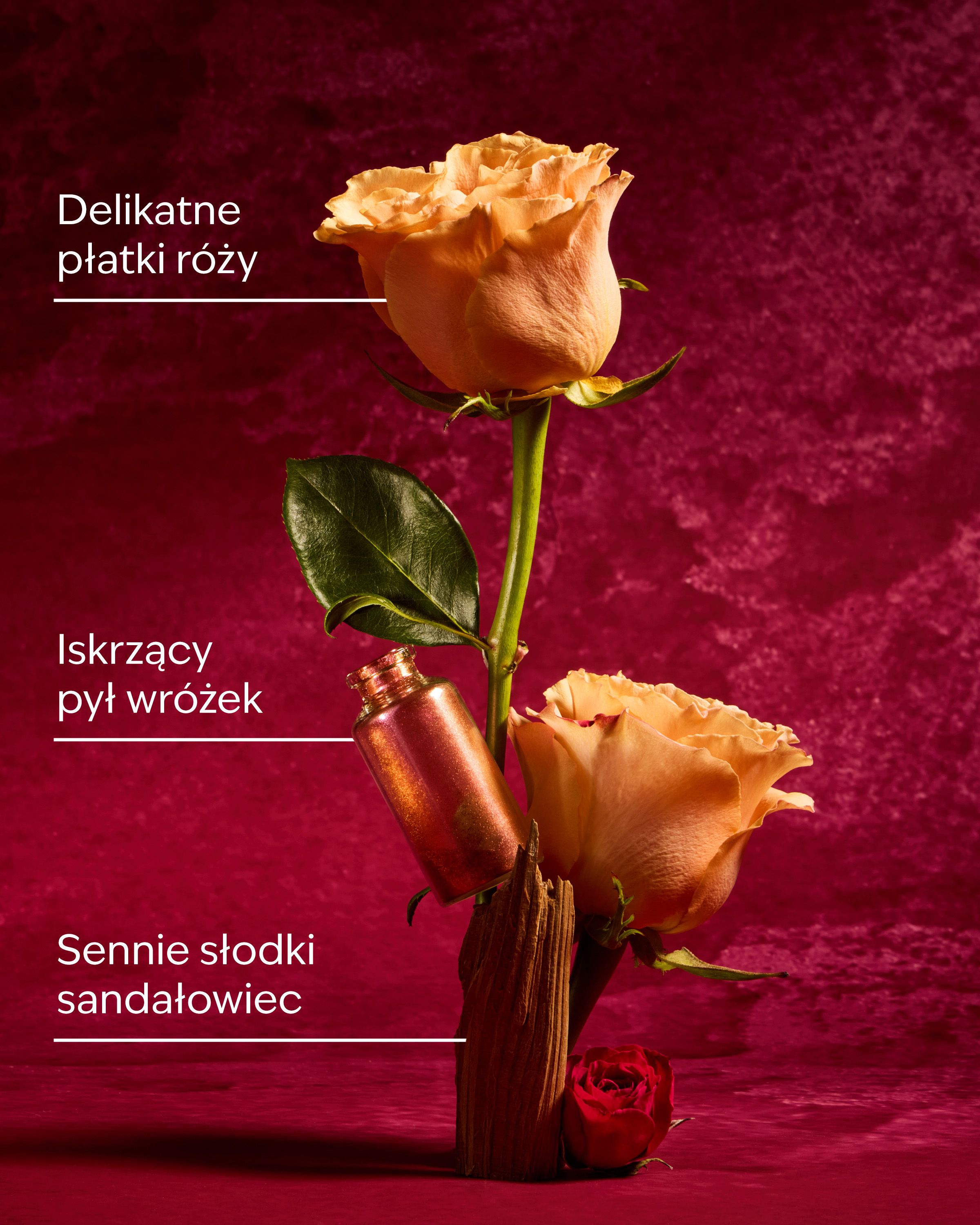 Kremowe mydło w piance Aurora od Bath & Body Works w różowym flakonie z kwiatowym motywem i złotymi detalami.