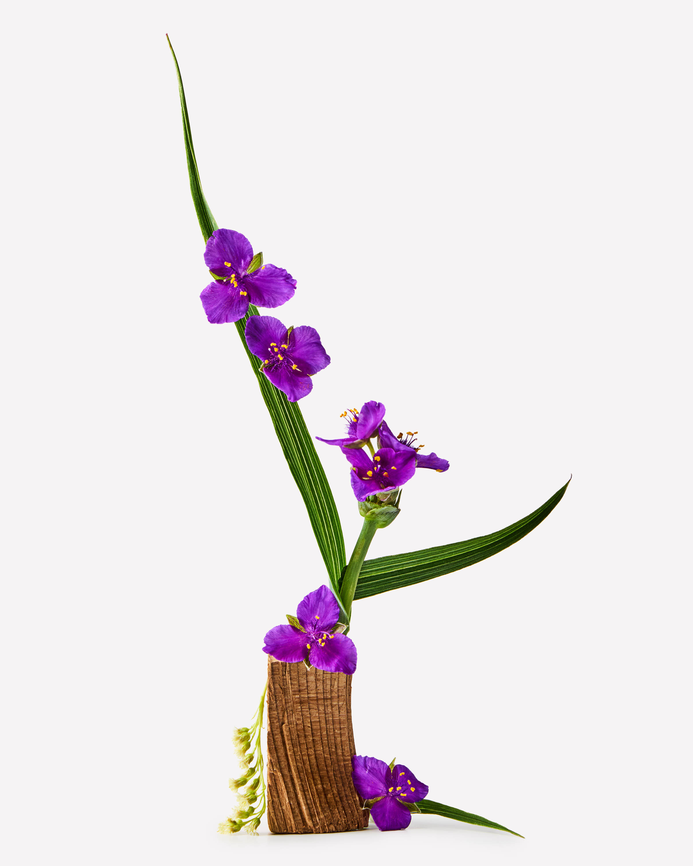 Balsam do ciała Very Violet Bath & Body Works z fiołkowym motywem na etykiecie