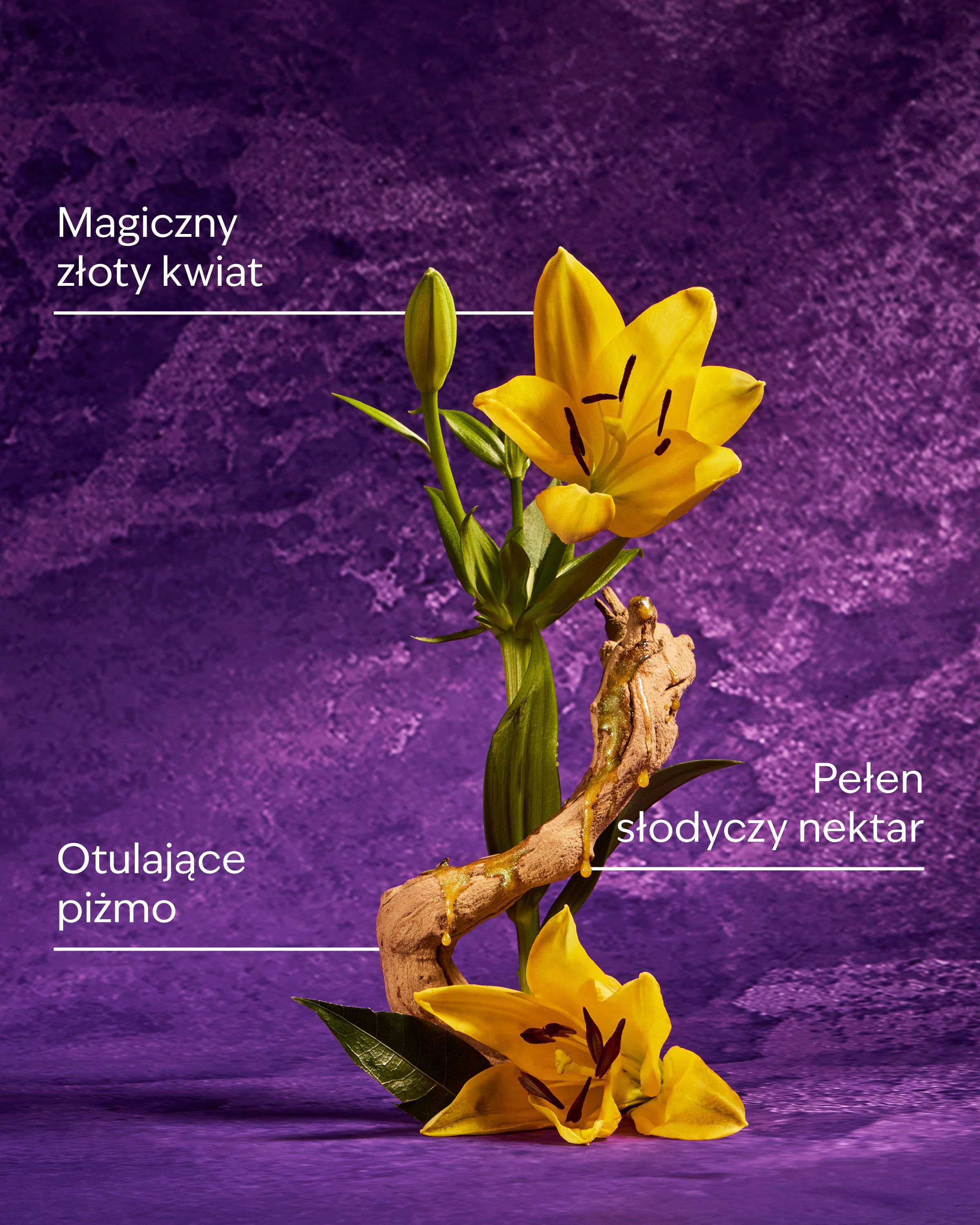 Żel pod prysznic Rapunzel w dekoracyjnej butelce z motywami inspirowanymi kolekcją Disney Princess.